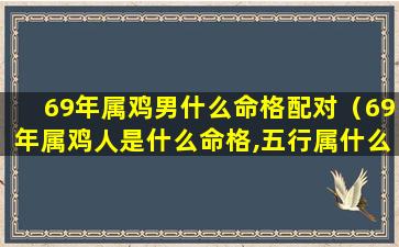 69年属鸡男什么命格配对（69年属鸡人是什么命格,五行属什么）