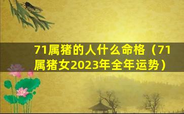 71属猪的人什么命格（71属猪女2023年全年运势）