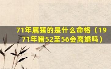 71年属猪的是什么命格（1971年猪52至56会离婚吗）