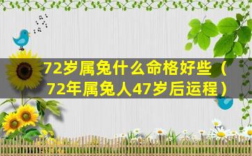 72岁属兔什么命格好些（72年属兔人47岁后运程）