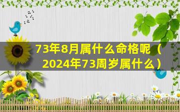 73年8月属什么命格呢（2024年73周岁属什么）