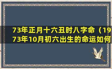 73年正月十六丑时八字命（1973年10月初六出生的命运如何）