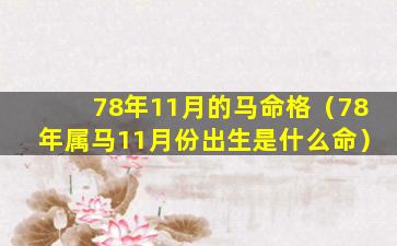 78年11月的马命格（78年属马11月份出生是什么命）