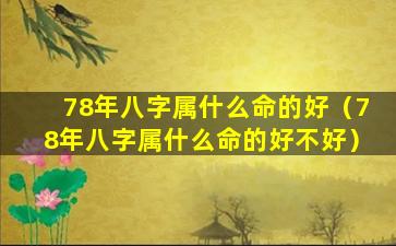 78年八字属什么命的好（78年八字属什么命的好不好）