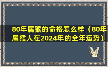 80年属猴的命格怎么样（80年属猴人在2024年的全年运势）