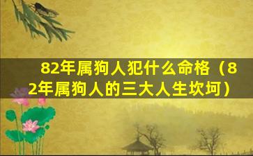 82年属狗人犯什么命格（82年属狗人的三大人生坎坷）