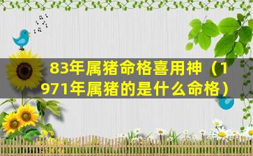 83年属猪命格喜用神（1971年属猪的是什么命格）