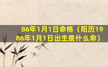 86年1月1日命格（阳历1986年1月1日出生是什么命）