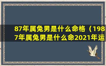 87年属兔男是什么命格（1987年属兔男是什么命2021年运势）