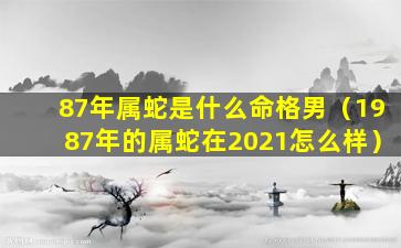 87年属蛇是什么命格男（1987年的属蛇在2021怎么样）