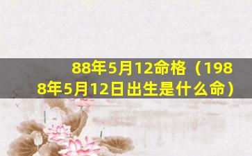 88年5月12命格（1988年5月12日出生是什么命）