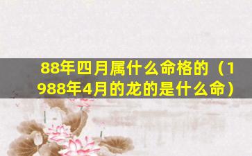 88年四月属什么命格的（1988年4月的龙的是什么命）