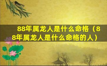 88年属龙人是什么命格（88年属龙人是什么命格的人）