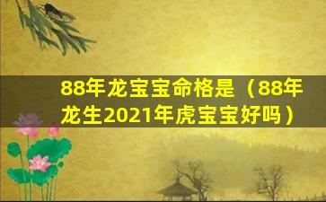 88年龙宝宝命格是（88年龙生2021年虎宝宝好吗）