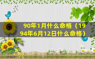 90年1月什么命格（1994年6月12日什么命格）