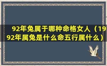 92年兔属于哪种命格女人（1992年属兔是什么命五行属什么）