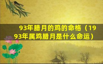 93年腊月的鸡的命格（1993年属鸡腊月是什么命运）