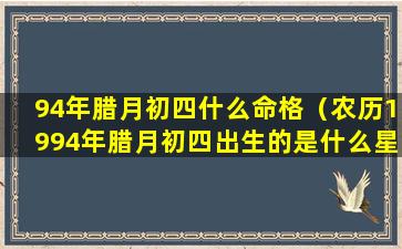 94年腊月初四什么命格（农历1994年腊月初四出生的是什么星座）