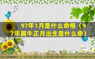 97年1月是什么命格（97年属牛正月出生是什么命）