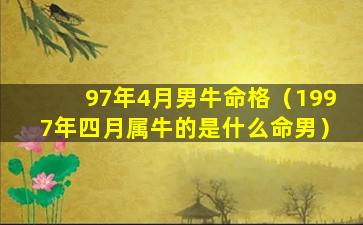 97年4月男牛命格（1997年四月属牛的是什么命男）