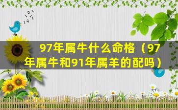 97年属牛什么命格（97年属牛和91年属羊的配吗）