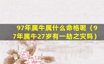 97年属牛属什么命格呢（97年属牛27岁有一劫之灾吗）