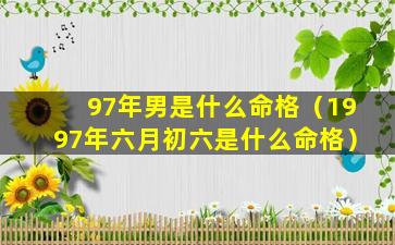 97年男是什么命格（1997年六月初六是什么命格）