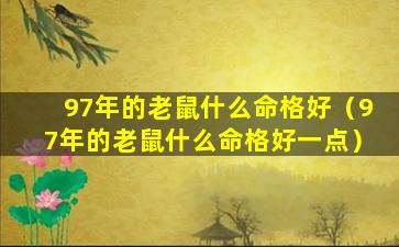 97年的老鼠什么命格好（97年的老鼠什么命格好一点）