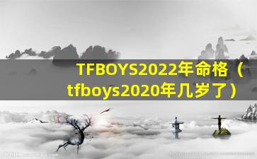 TFBOYS2022年命格（tfboys2020年几岁了）