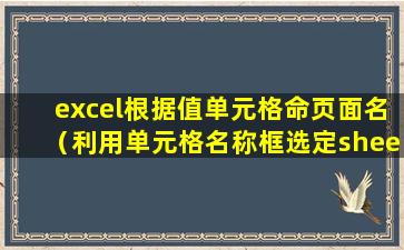 excel根据值单元格命页面名（利用单元格名称框选定sheet1工作表中的a1单元格）