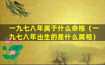 一九七八年属于什么命格（一九七八年出生的是什么属相）