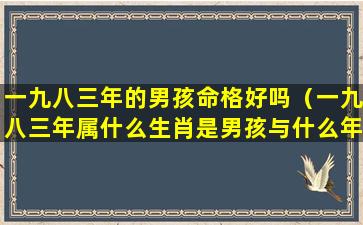 一九八三年的男孩命格好吗（一九八三年属什么生肖是男孩与什么年份的女结合好）