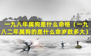 一九八年属狗是什么命格（一九八二年属狗的是什么命岁数多大）