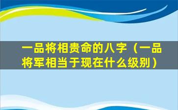 一品将相贵命的八字（一品将军相当于现在什么级别）