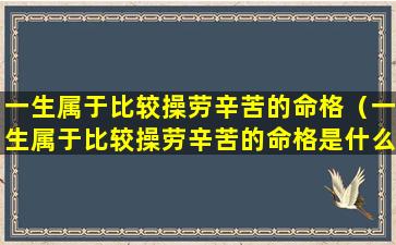 一生属于比较操劳辛苦的命格（一生属于比较操劳辛苦的命格是什么）