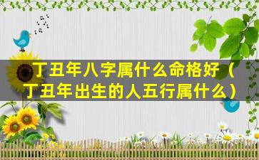 丁丑年八字属什么命格好（丁丑年出生的人五行属什么）