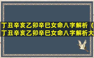 丁丑辛亥乙卯辛巳女命八字解析（丁丑辛亥乙卯辛巳女命八字解析大全）