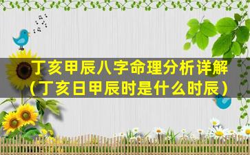 丁亥甲辰八字命理分析详解（丁亥日甲辰时是什么时辰）