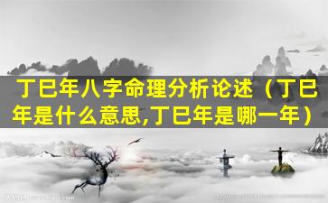 丁巳年八字命理分析论述（丁巳年是什么意思,丁巳年是哪一年）