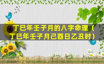 丁巳年壬子月的八字命理（丁巳年壬子月己酉日乙丑时）