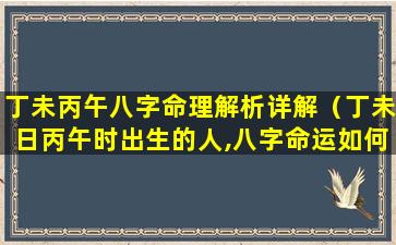 丁未丙午八字命理解析详解（丁未日丙午时出生的人,八字命运如何）