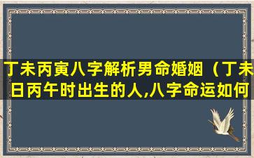 丁未丙寅八字解析男命婚姻（丁未日丙午时出生的人,八字命运如何）