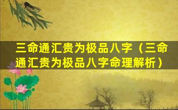 三命通汇贵为极品八字（三命通汇贵为极品八字命理解析）