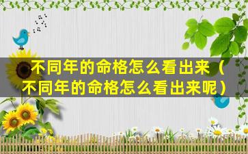 不同年的命格怎么看出来（不同年的命格怎么看出来呢）