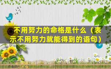 不用努力的命格是什么（表示不用努力就能得到的语句）