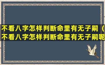 不看八字怎样判断命里有无子嗣（不看八字怎样判断命里有无子嗣呢）