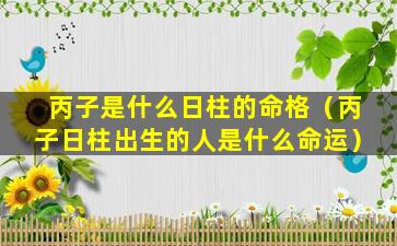 丙子是什么日柱的命格（丙子日柱出生的人是什么命运）