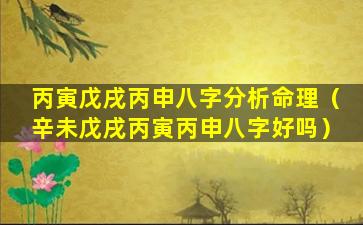 丙寅戊戌丙申八字分析命理（辛未戊戌丙寅丙申八字好吗）