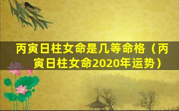 丙寅日柱女命是几等命格（丙寅日柱女命2020年运势）