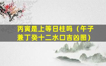 丙寅是上等日柱吗（午子兼丁癸十二水口吉凶图）